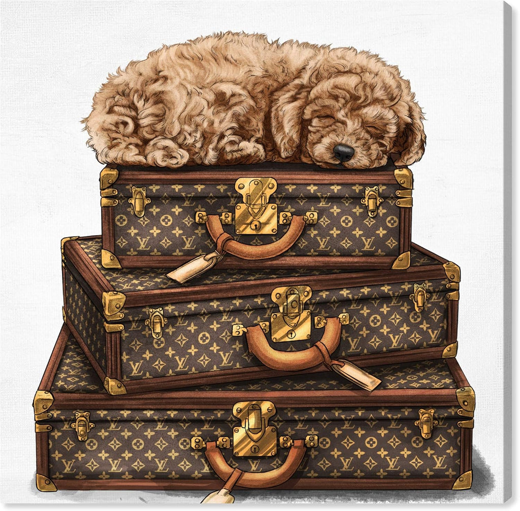 The Oliver Gal Artist Co. Fashion and Glam Wall Art Canvas Prints 'Sleeping Poodle' Travel Essentials Home Décor, 30 in x 30 in, Brown, White