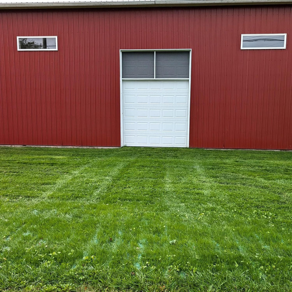 Grass Protection Mesh - 3'x50' Roll (150sf) - Reinforcement for Grass Parking, Driveways, Parking, Turf Protection