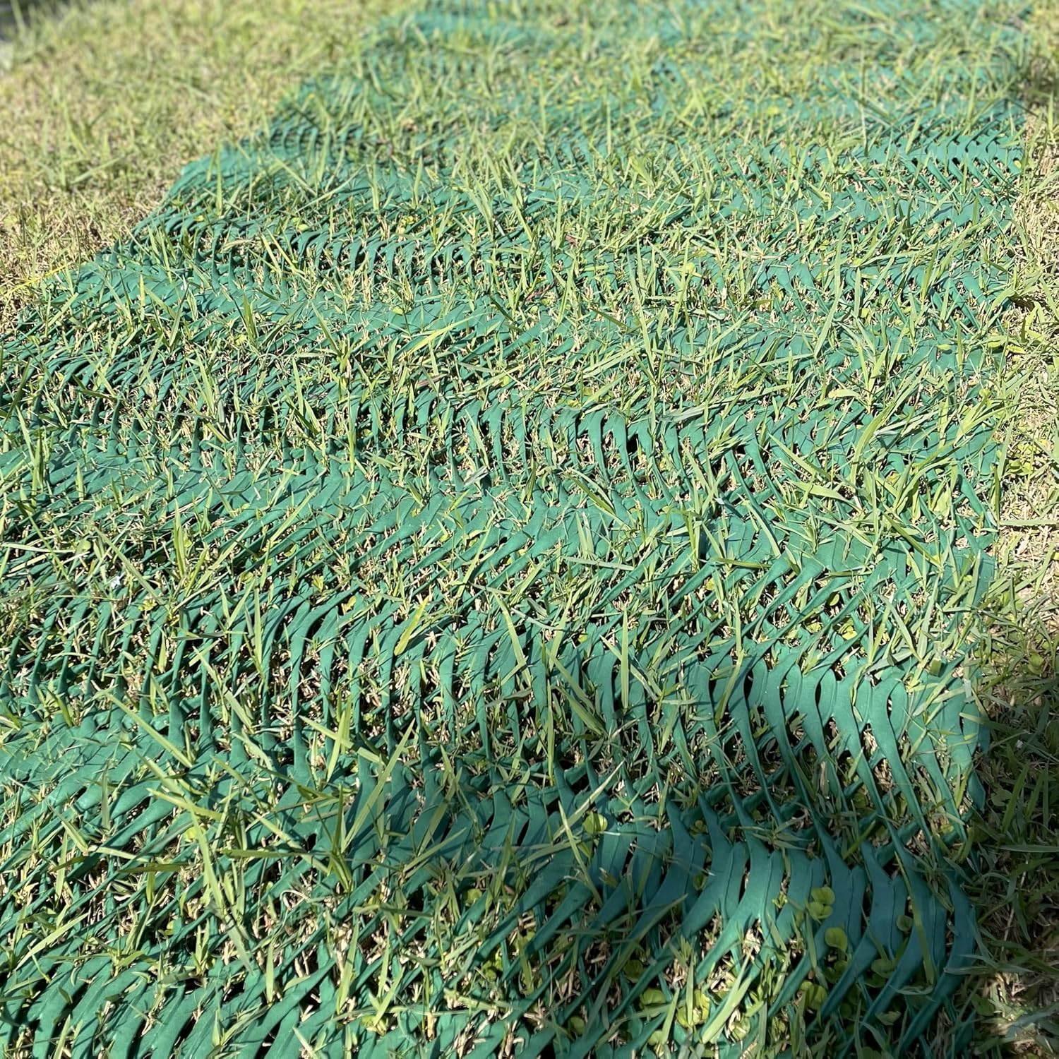 Grass Protection Mesh - 3'x50' Roll (150sf) - Reinforcement for Grass Parking, Driveways, Parking, Turf Protection