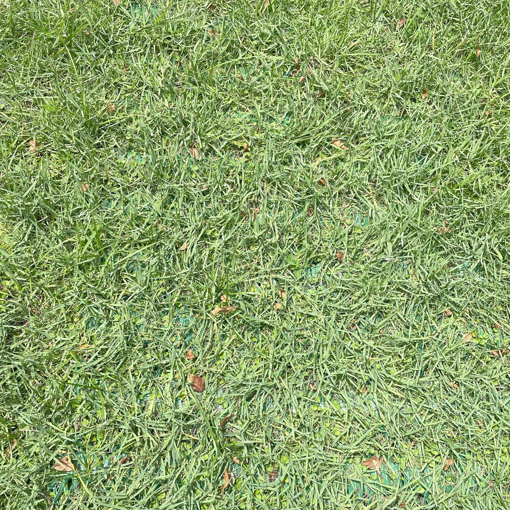 Grass Protection Mesh w/Accessories - 3'x50' Roll (150sf) - Reinforcement for Grass Parking, Driveways, Parking, Turf Protection - Includes 50 Landscape Staples Packaged w/Roll