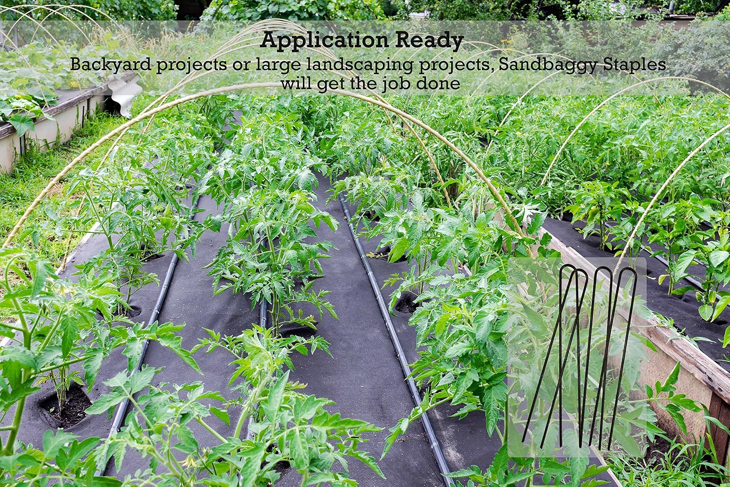 Sandbaggy 12-inch 8-Gauge Round Top Landscape Staples~SOD Garden Stakes Weed Barrier Pins (500 Staples)